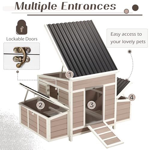 56" Large Wooden Chicken Coop with 6 Nesting Boxes F670