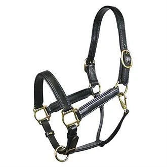 Padded Leather Halter P760545