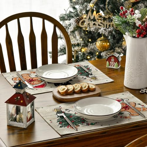 Set of 4 12x18 Inch Christmas Placemats L39290