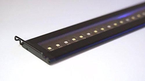 Satellite Plus Pro LED Light P246313
