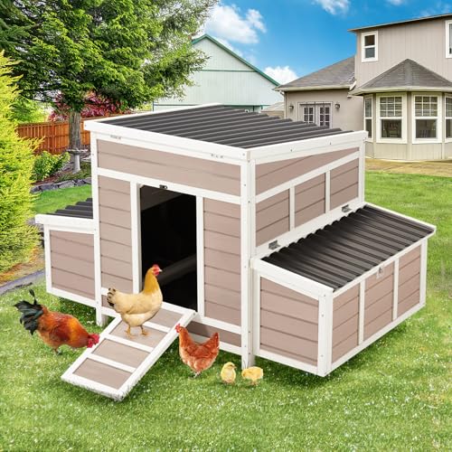 56" Large Wooden Chicken Coop with 6 Nesting Boxes F670
