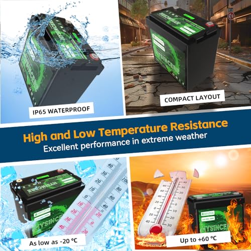 12V 100Ah LiFePO4 Lithium Battery with 100A BMS X638