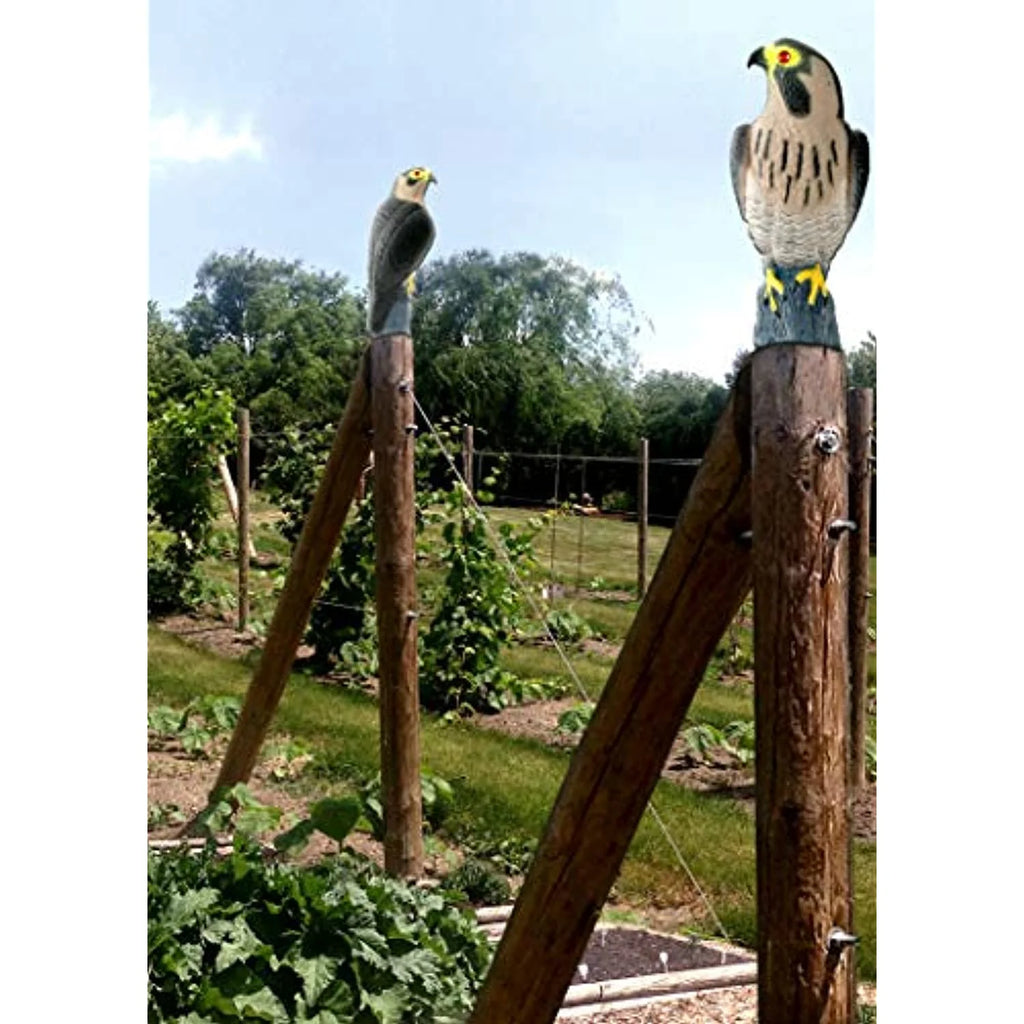 Owl Decoy Bird Repellent L2046