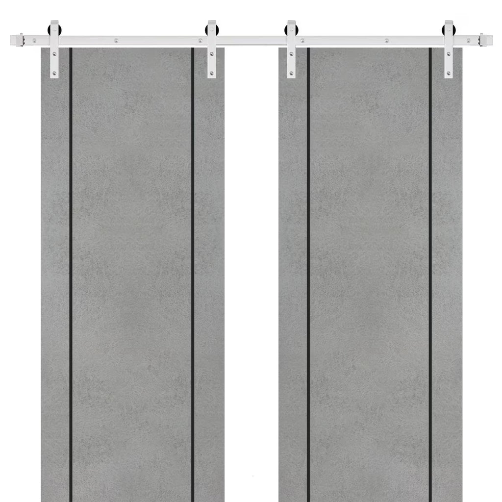 Double Barn Door 36 x 80 inches with Frosted Glass Stainless Steel Rail Hangers E5615