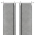 Double Barn Door 36 x 80 inches with Frosted Glass Stainless Steel Rail Hangers E5615