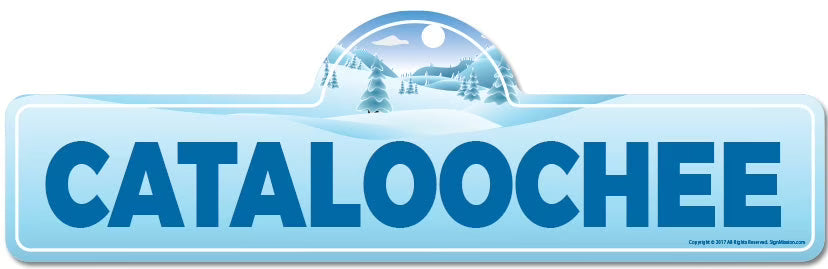 Skiing Skier Snowboarder Décor Sign V955997