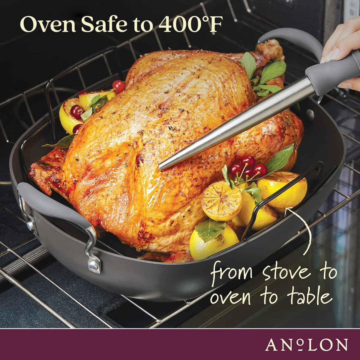 16 Inch x 13 Inch Hard Anodized Nonstick Roasting Pan with Rack U568288