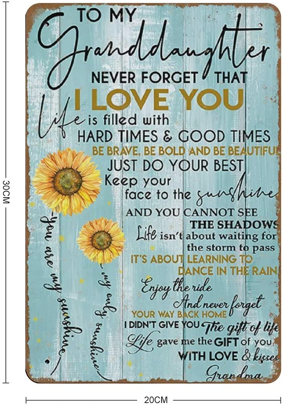Vintage Metal Sign Wall Decor 8"x12" N115887