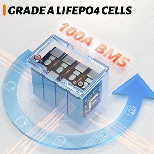12V 100Ah Group 24 LiFePO4 Battery with 100A BMS N1196