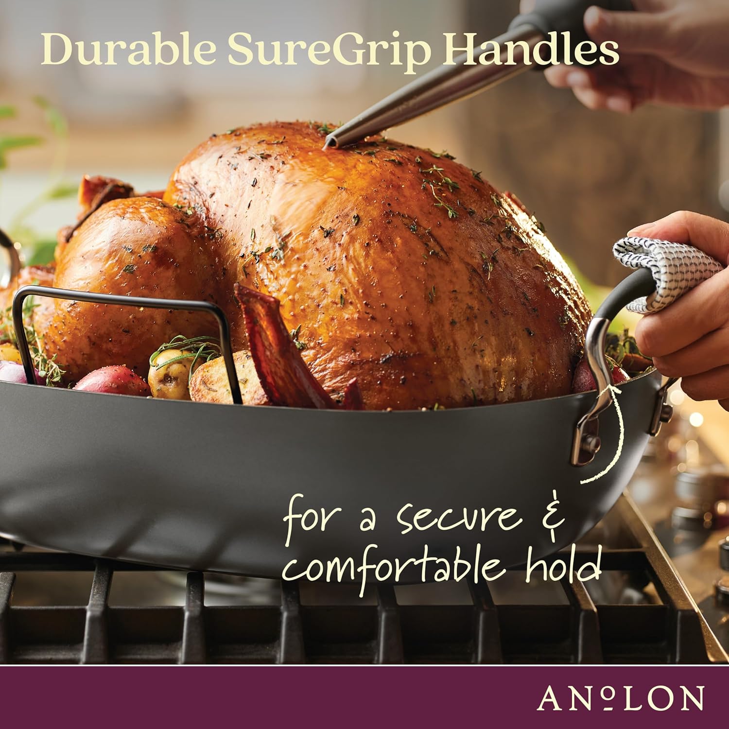 16 Inch x 13 Inch Hard Anodized Nonstick Roasting Pan with Rack U568288