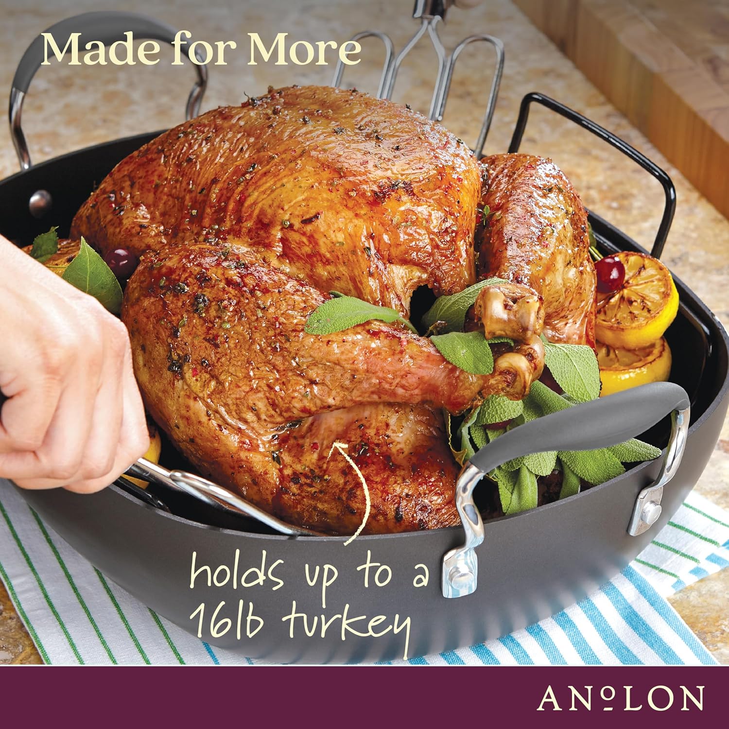 16 Inch x 13 Inch Hard Anodized Nonstick Roasting Pan with Rack U568288