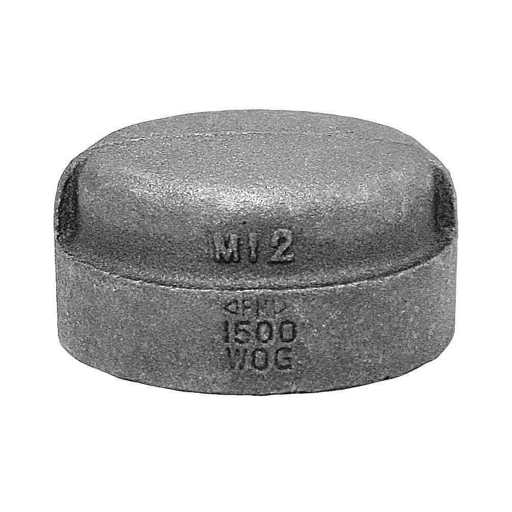 Malleable Iron Cap Class 150 3-1/2-in J103