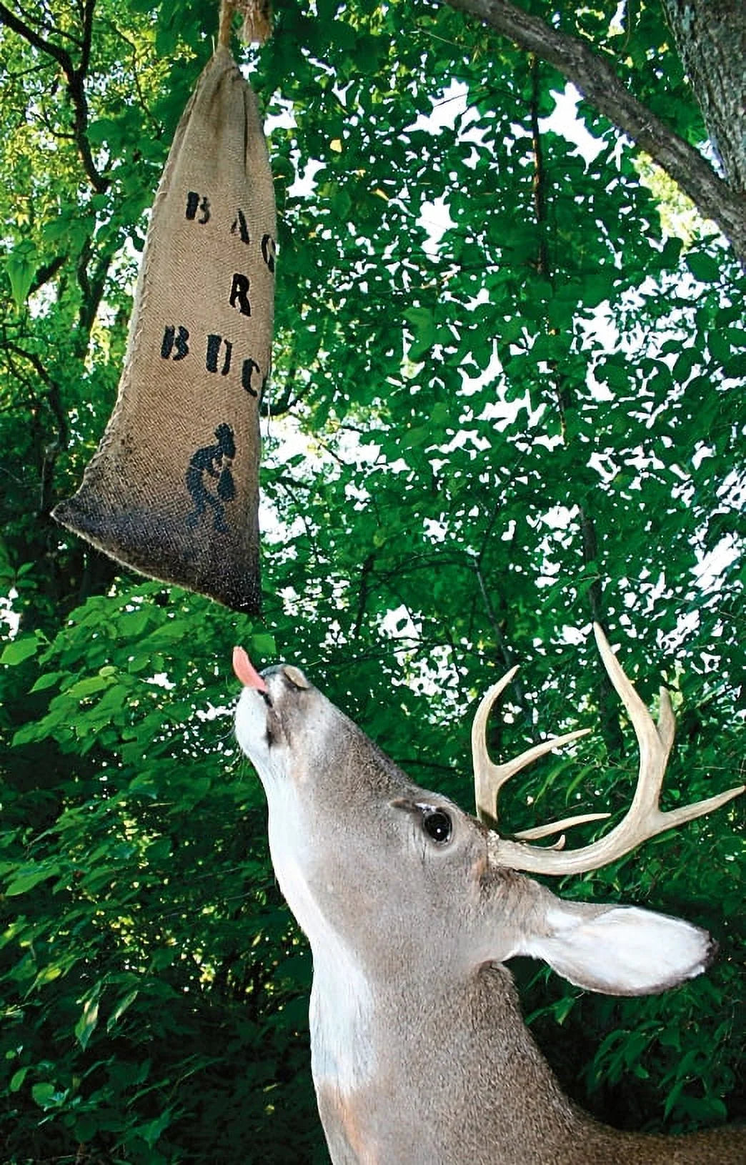 2 Pack 4-lb Deer Attractant T9179