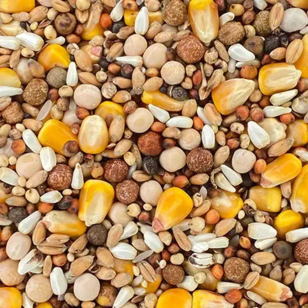 Classic Racing Pigeon Foods Blends 50lbs T9000
