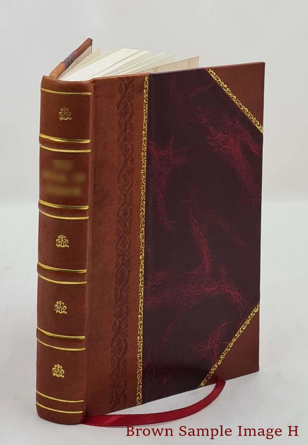 The Buckners of Virginia and the Allied Families of Strother and Ashby T6684