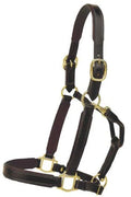 Padded Leather Halter P760545