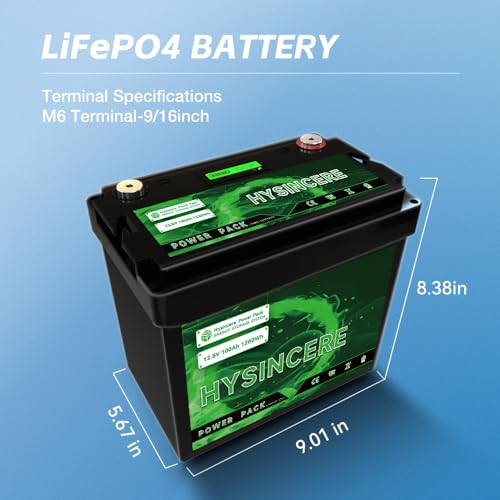 12V 100Ah LiFePO4 Lithium Battery with 100A BMS X638