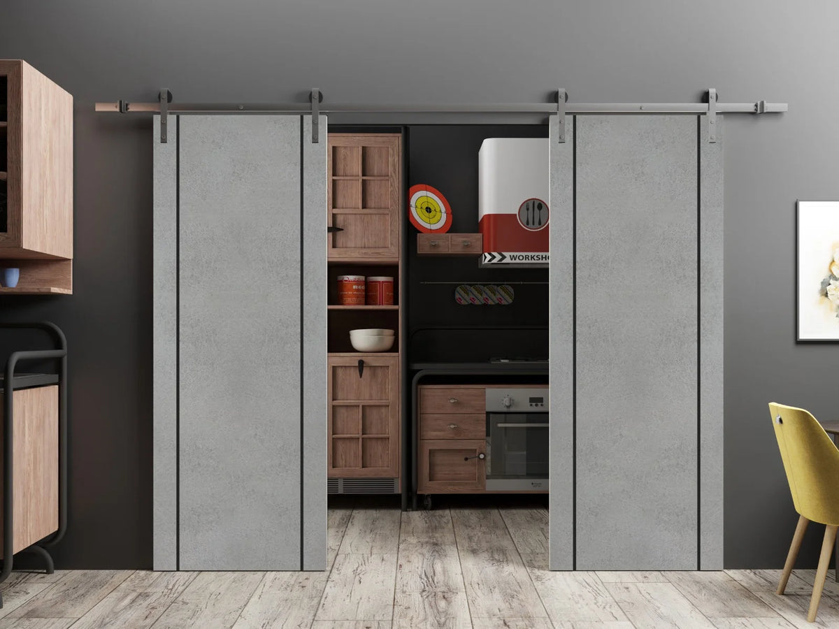 Double Barn Door 36 x 80 inches with Frosted Glass Stainless Steel Rail Hangers E5615