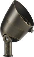 LED Landscape Accent V6231