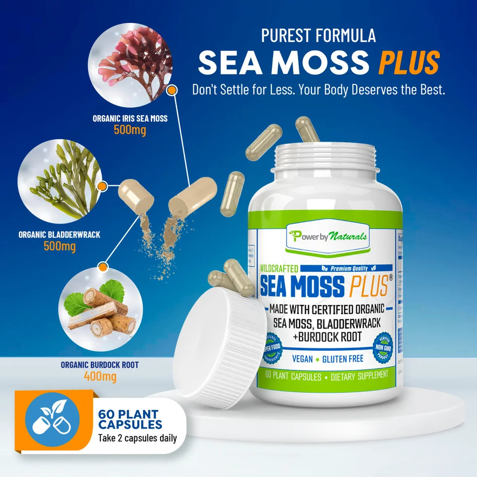 60 Capsule Sea Moss Bladder wrack Burdock Root H723