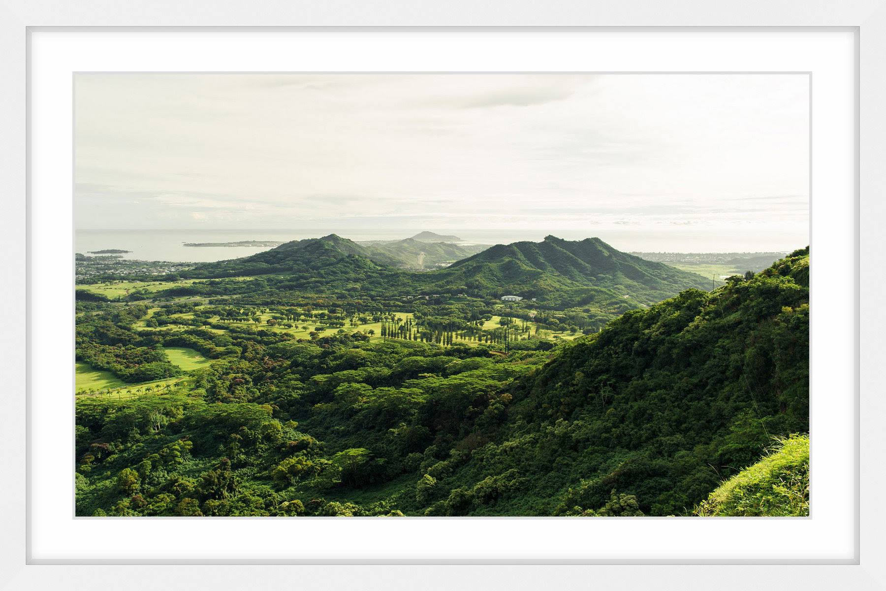 Green Scenery Framed Photographic Print 16x22 H x 24x22 W N390953