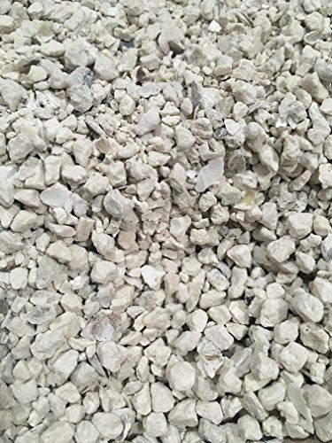Natural Crushed Oyster Shell with Calcium (2 lb) X4764