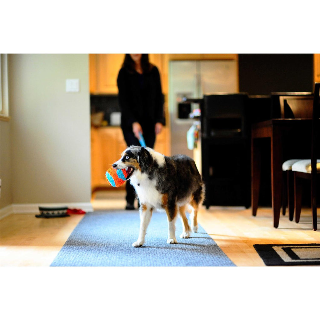 Indoor Ball Dog Toy I643