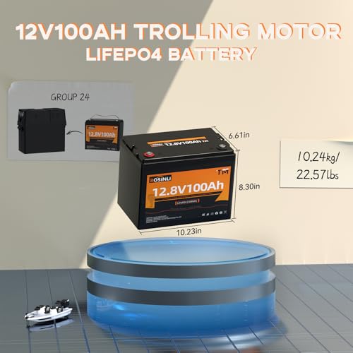 12V 100Ah Group 24 LiFePO4 Battery with 100A BMS N1196