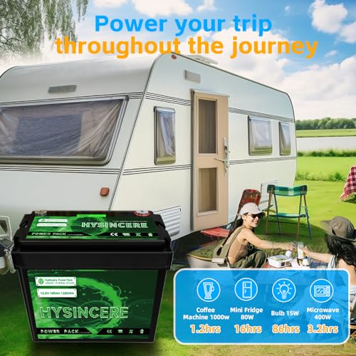 12V 100Ah LiFePO4 Lithium Battery with 100A BMS X638