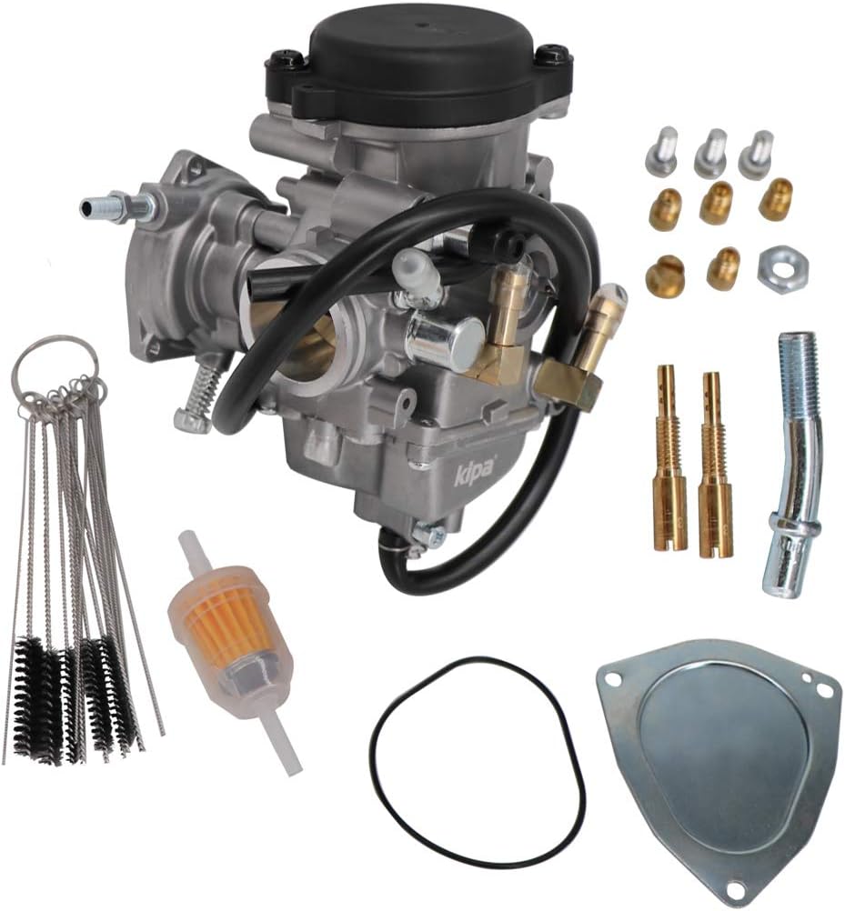 Carburetor with Filter & Carbon Dirt Jet Cleaner Tool Kit Q8640