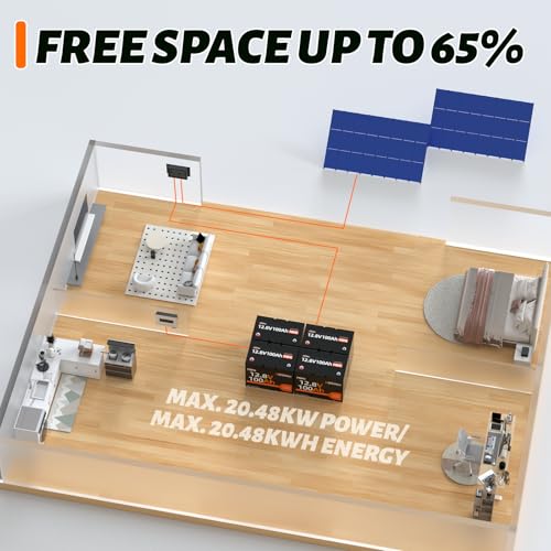 12V 100Ah Group 24 LiFePO4 Battery with 100A BMS N1196