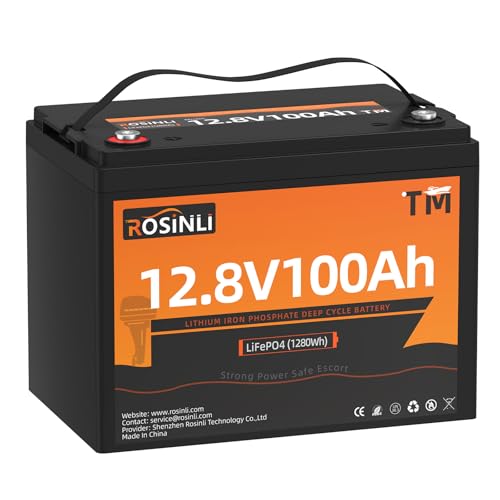 12V 100Ah Group 24 LiFePO4 Battery with 100A BMS N1196