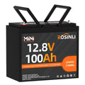 12V 100Ah Group 24 LiFePO4 Battery with 100A BMS N1196