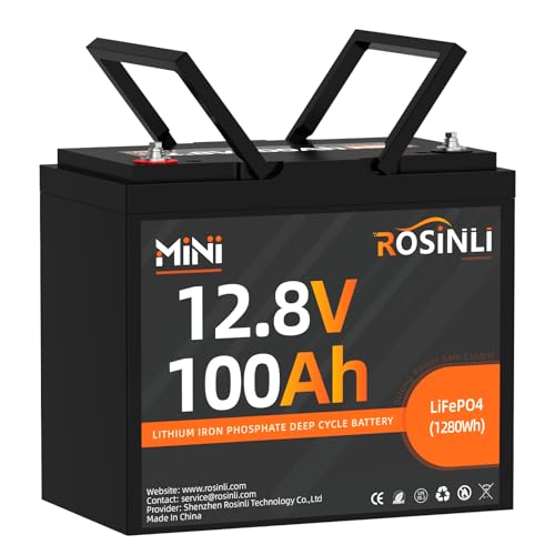 12V 100Ah Group 24 LiFePO4 Battery with 100A BMS N1196
