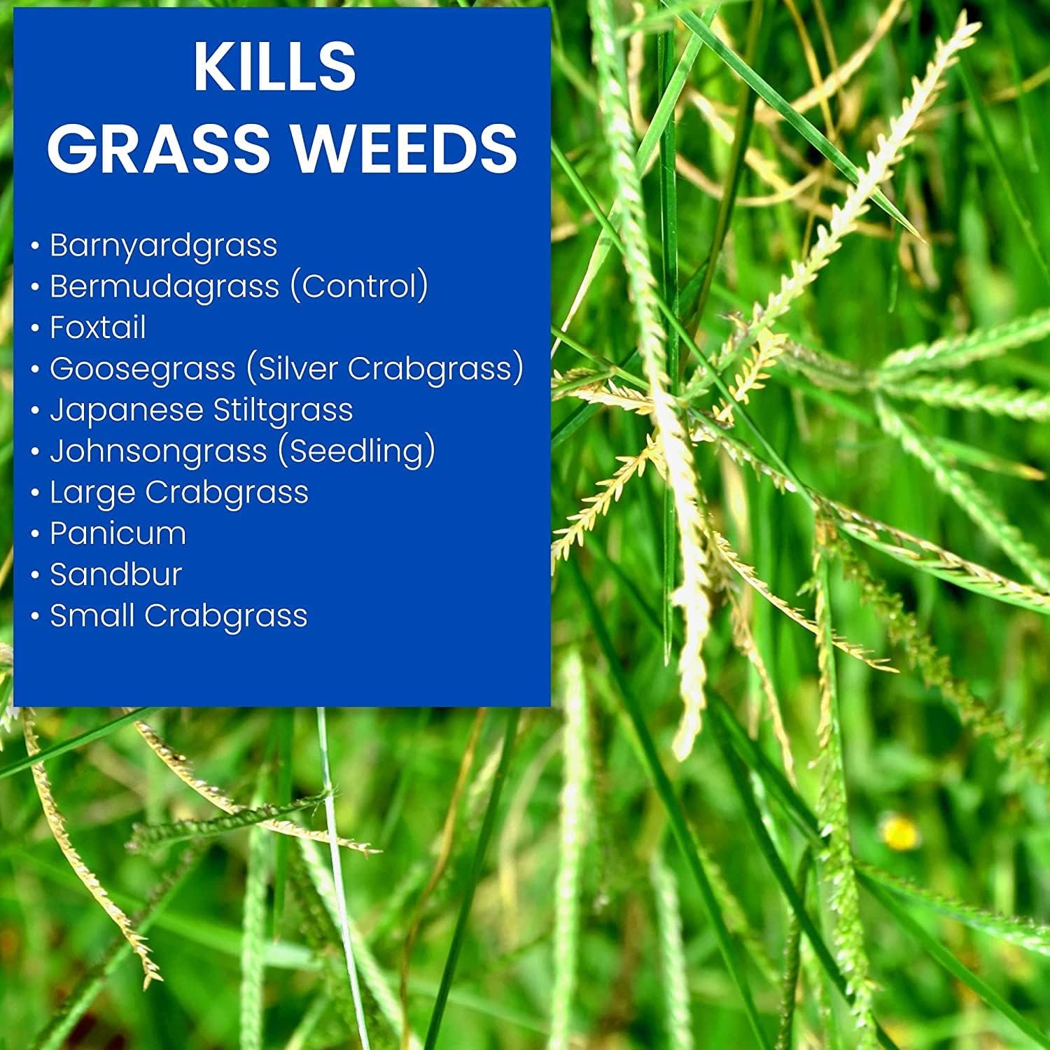 32 oz Ready-to-Spray Bermudagrass Control X844