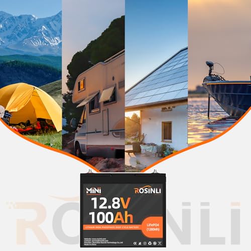 12V 100Ah Group 24 LiFePO4 Battery with 100A BMS N1196