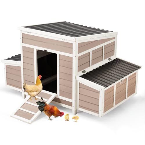 56" Large Wooden Chicken Coop with 6 Nesting Boxes F670