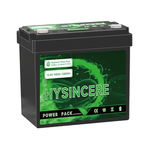 12V 100Ah LiFePO4 Lithium Battery with 100A BMS X638