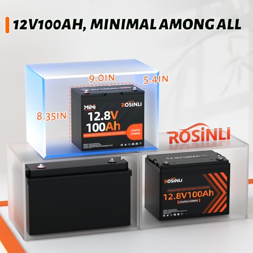 12V 100Ah Group 24 LiFePO4 Battery with 100A BMS N1196