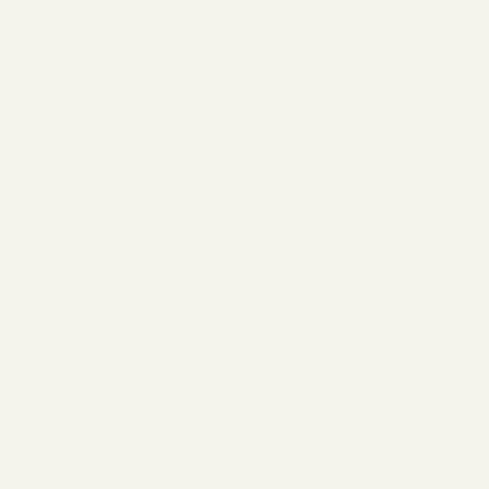 White 2 Gallon Latex Primer W295