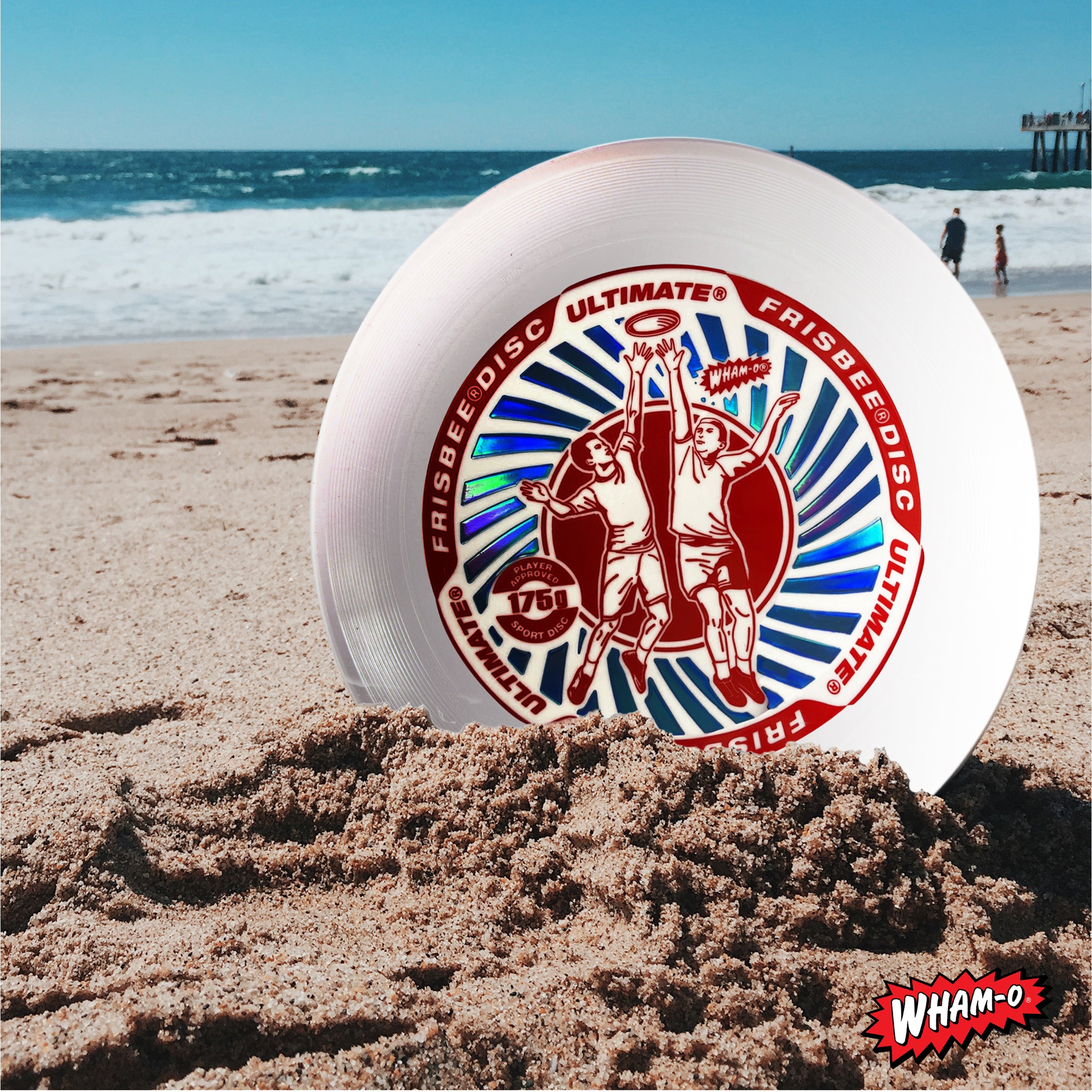 Flying Disc Y75479
