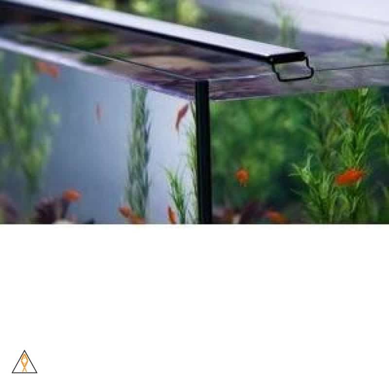 Satellite Plus Pro LED Light P246313
