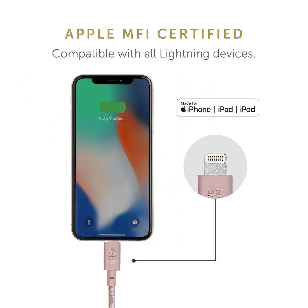 10ft Reinforced Lightning to USB Charging Cable with Leather Strap M222