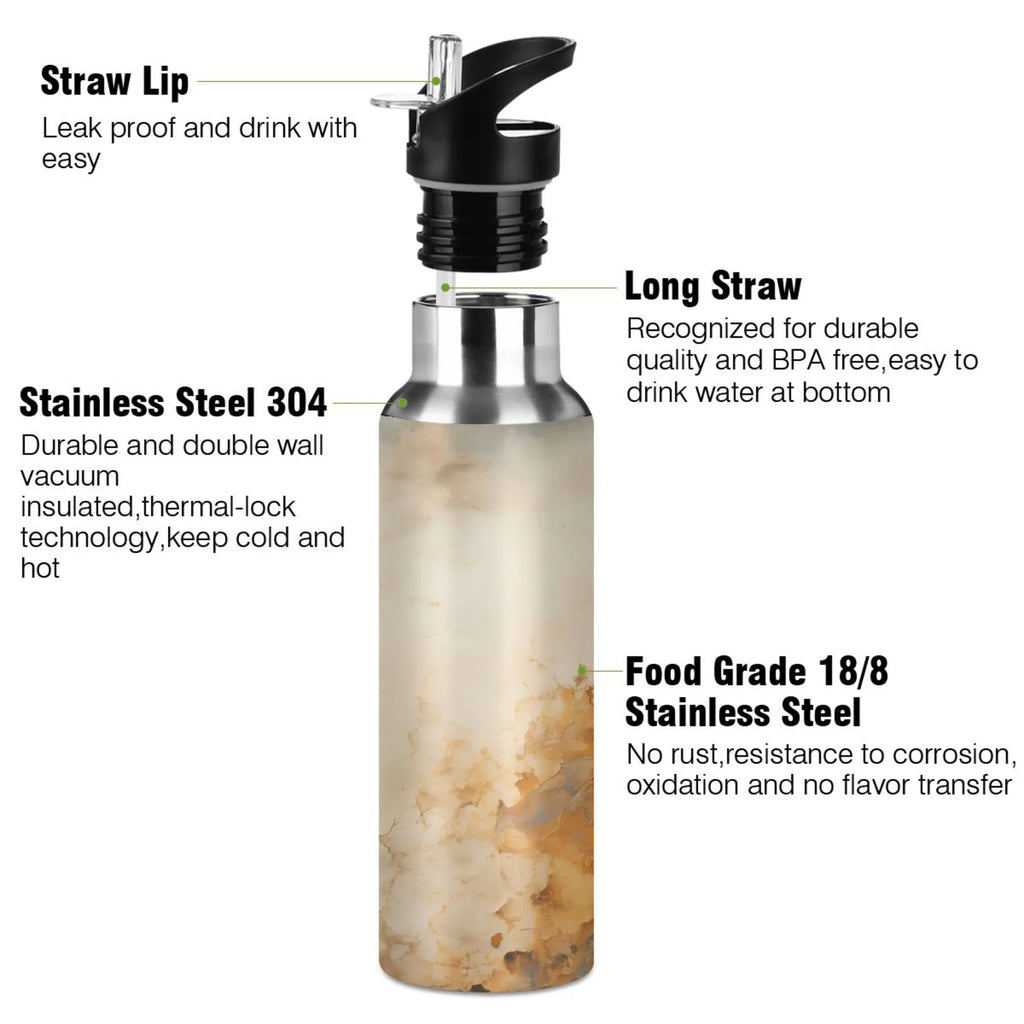 Stainless Steel Insulated Water Bottle with Straw Lid Z927253