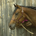 3/4-Inch Leather Show Halter, Havana, Yearling U3206