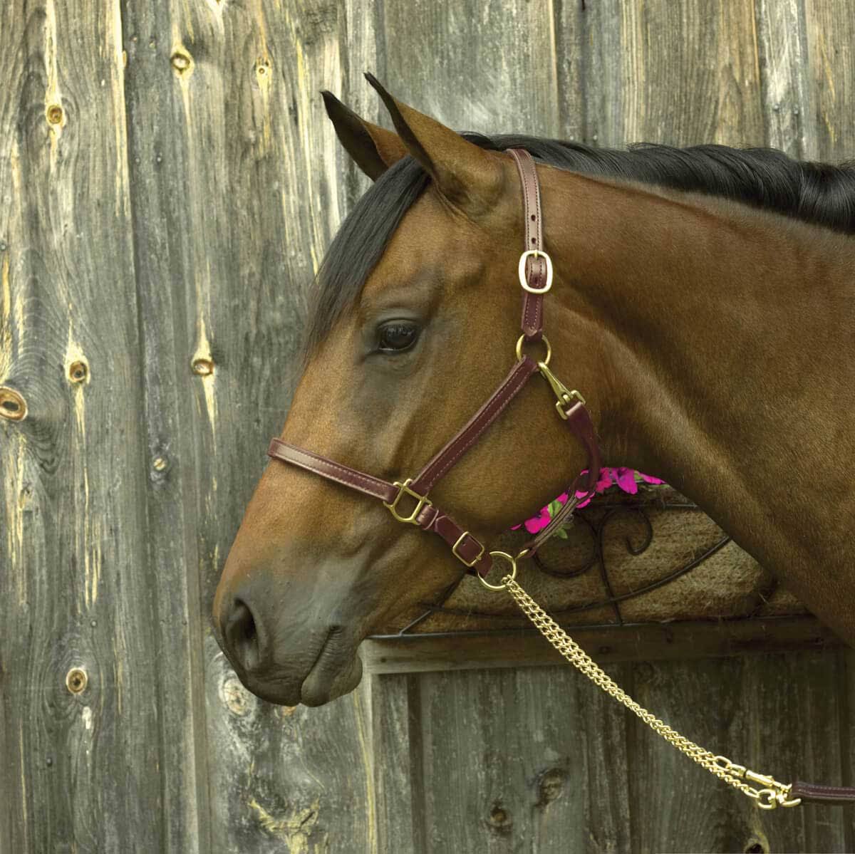 3/4-Inch Leather Show Halter, Havana, Yearling U3206