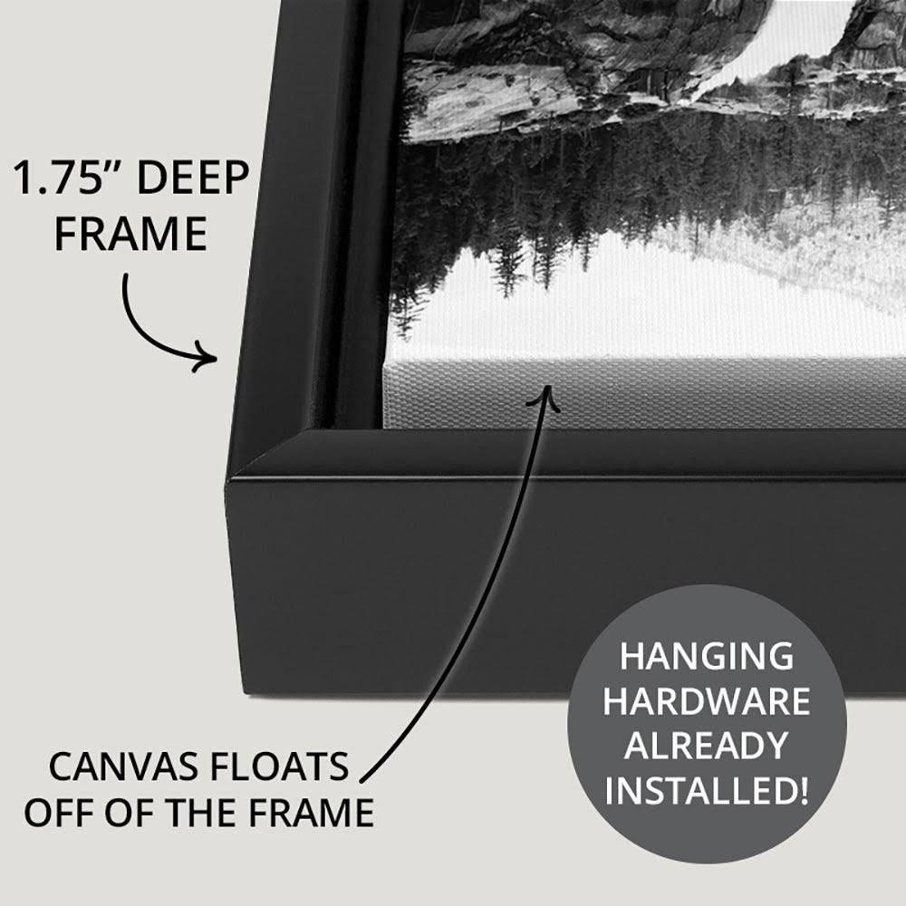 Black Float Frame Canvas Art - 32 x 48 R591
